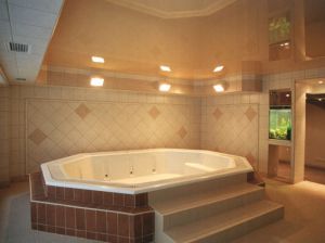 Потолок для ванной, простота и комфорт